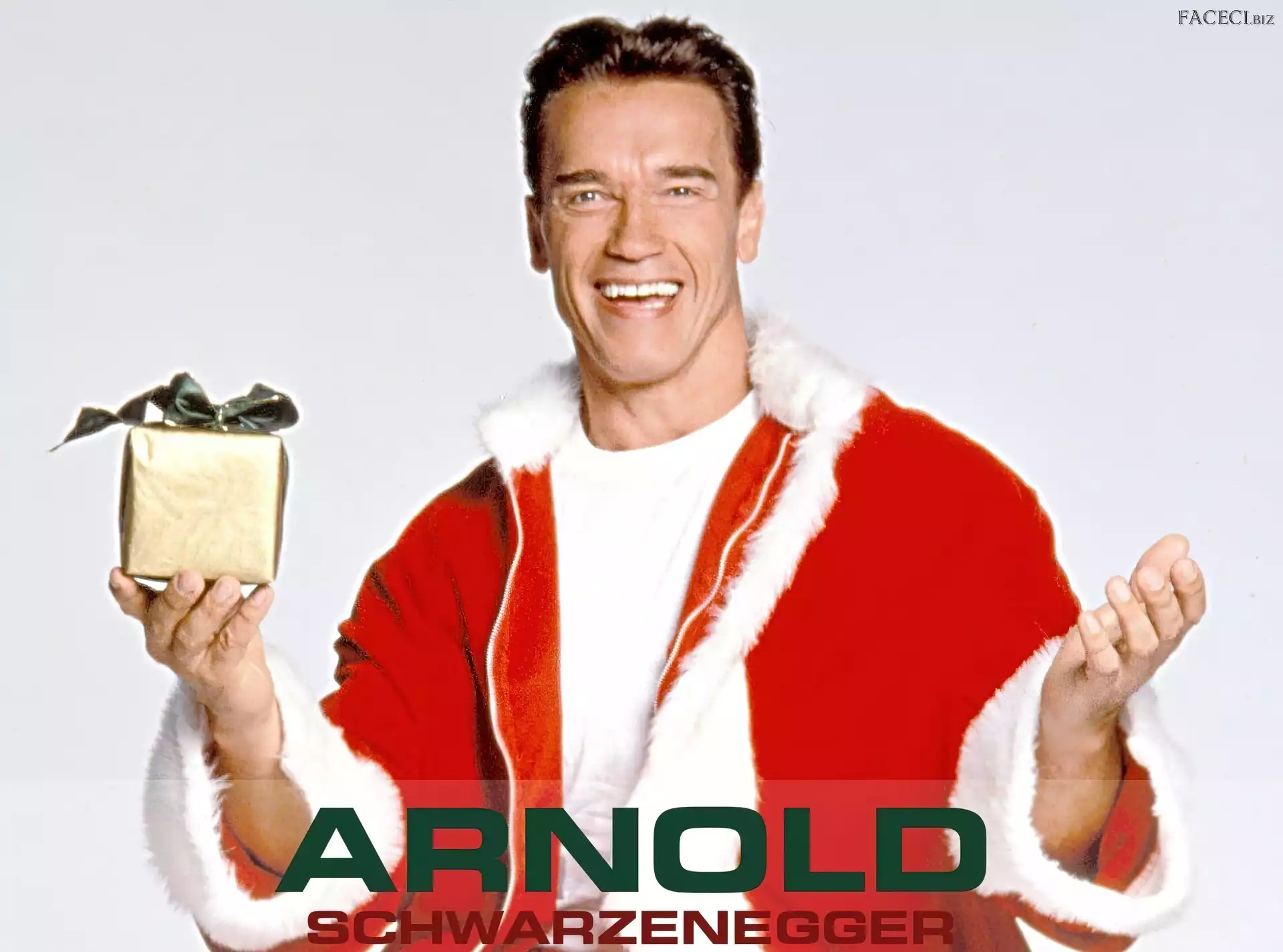 Prezent, Arnold Schwarzenegger